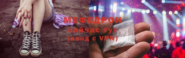 индика Беломорск