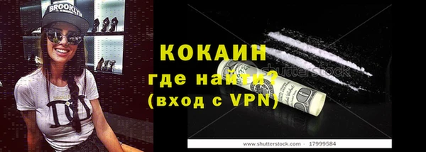 индика Беломорск