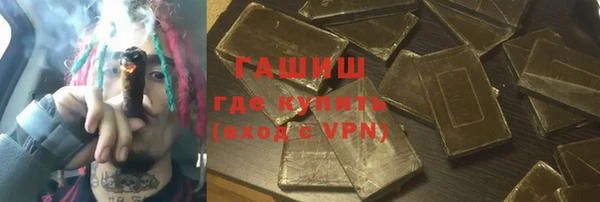 индика Беломорск