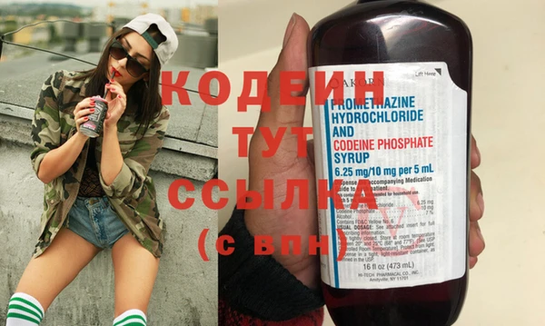 индика Беломорск