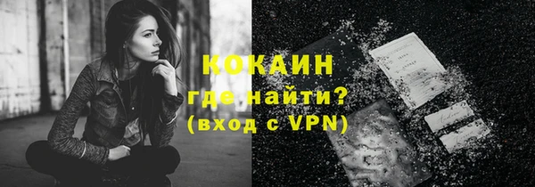 индика Беломорск