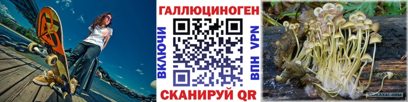 сколько стоит  Южа  ссылка на мегу вход  Псилоцибиновые грибы Cubensis 
