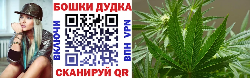 Канабис сатива Южа